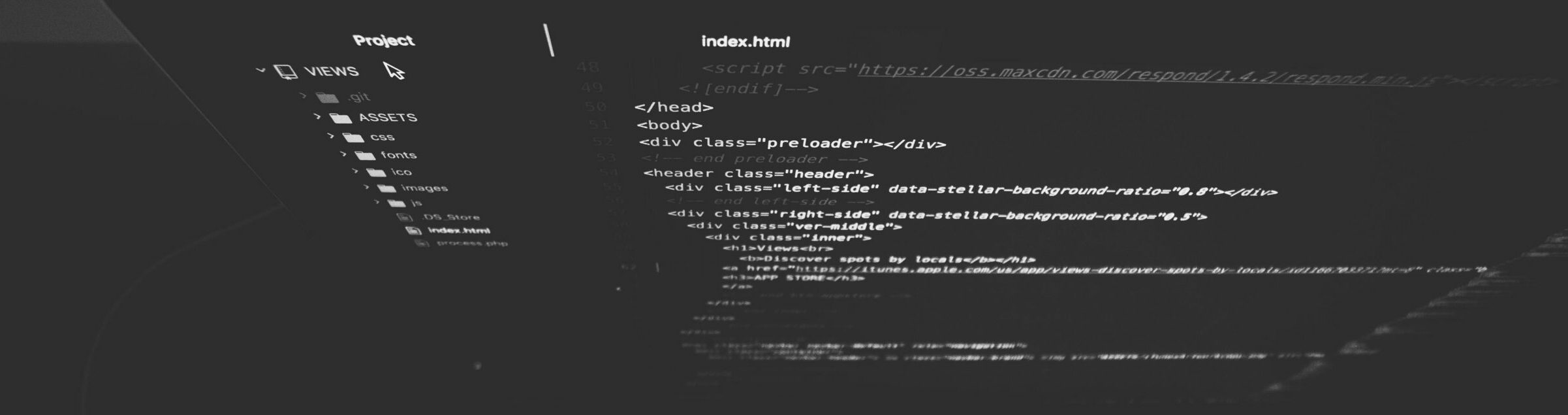 SOFTWARE GESTIONALI